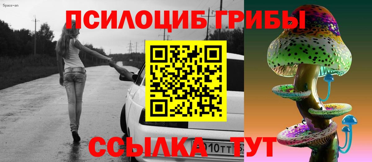 Псилоцибиновые грибы мицелий Тара