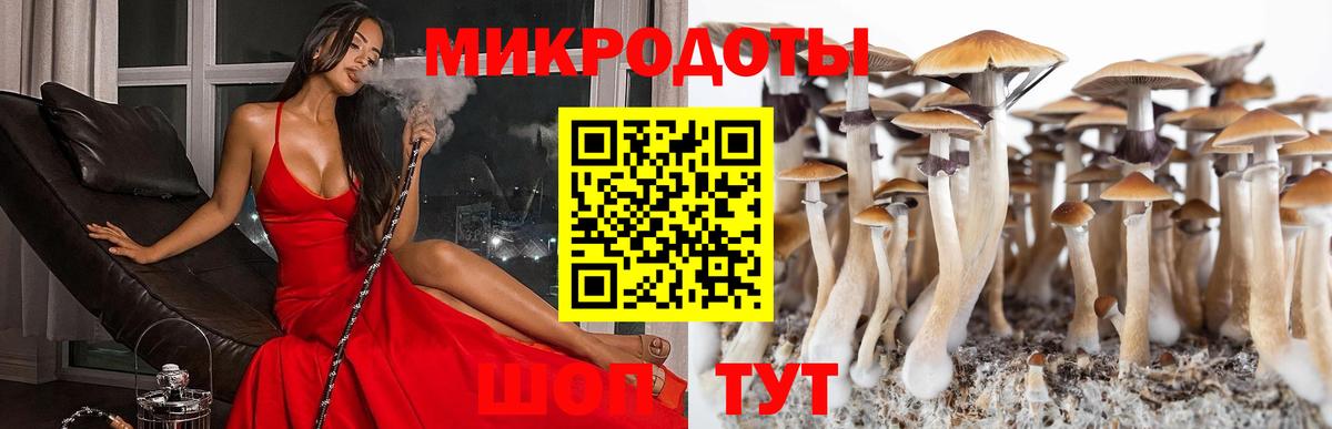 Псилоцибиновые грибы MAGIC MUSHROOMS  Вход с VPN  Тара 